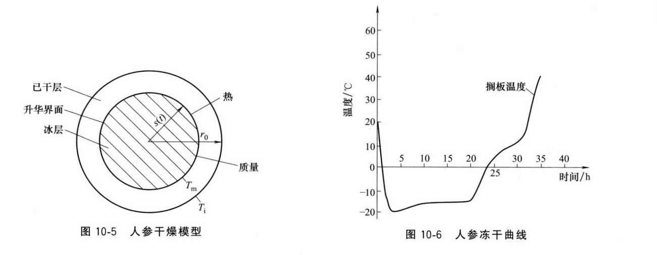 真空冷凍干燥機